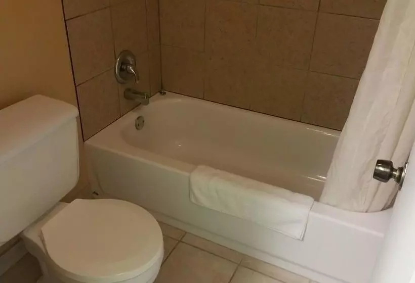 ホテル Executive Inn Mineral Wells