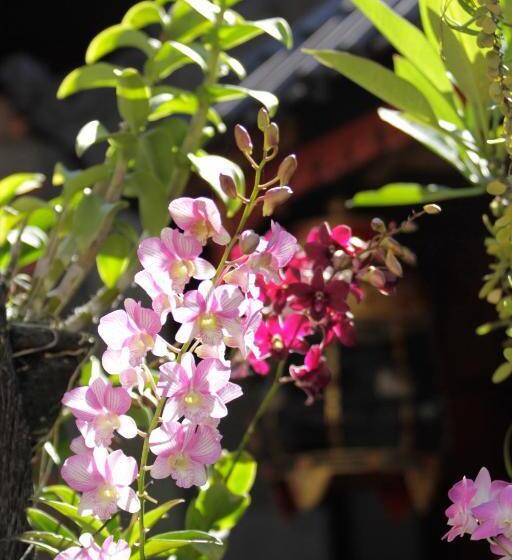 ホテル Lowcost Bed & Breakfast