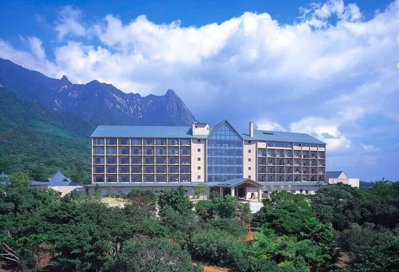 ホテル Yakushima Iwasaki