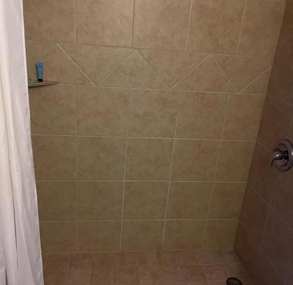 מוטל The Atlantic