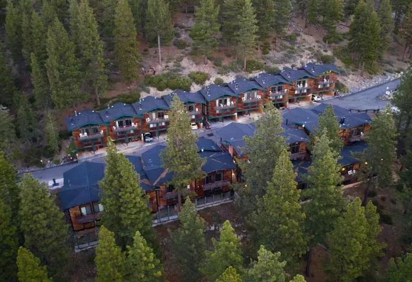 Tahoe Chaparral