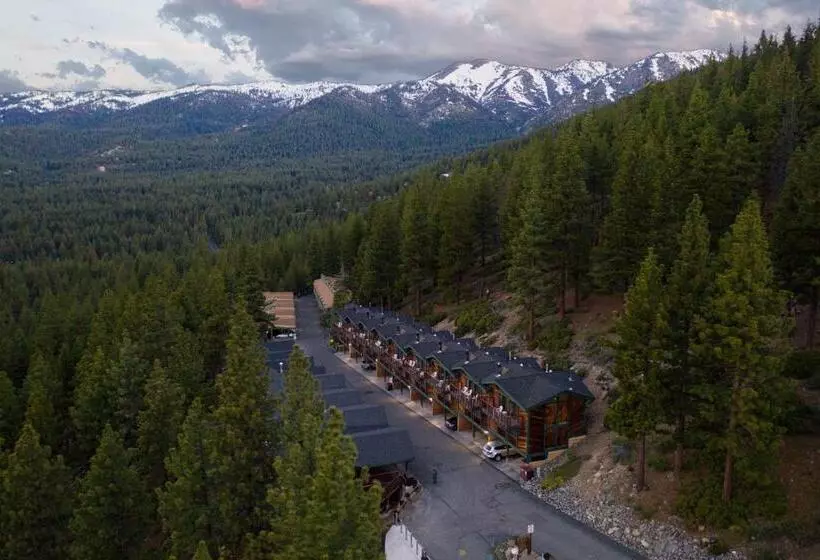 Tahoe Chaparral
