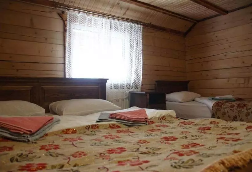 Hotelli дан
