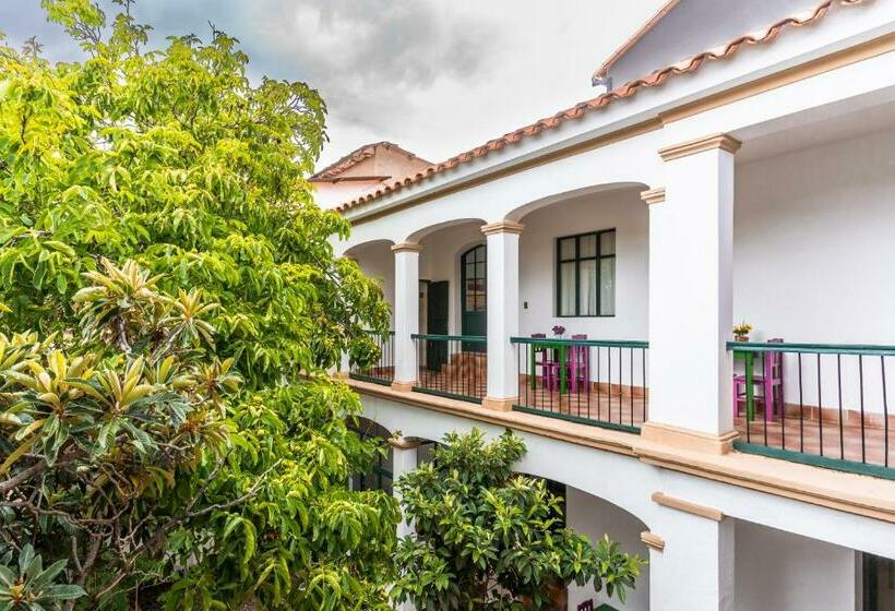 هاستل Dragonfly Guest House