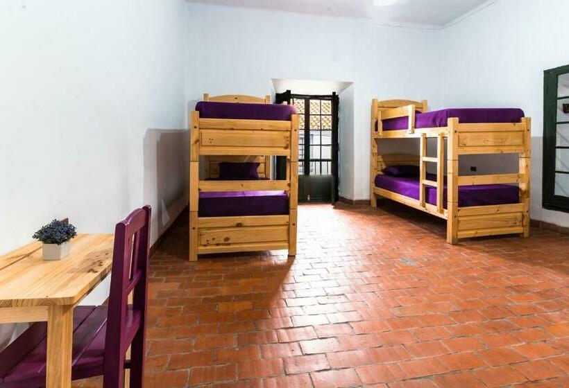 هاستل Dragonfly Guest House