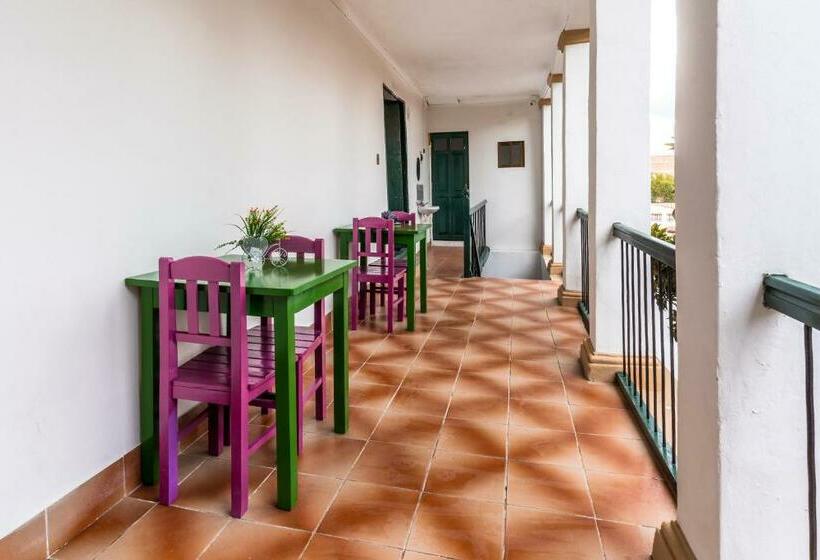 هاستل Dragonfly Guest House