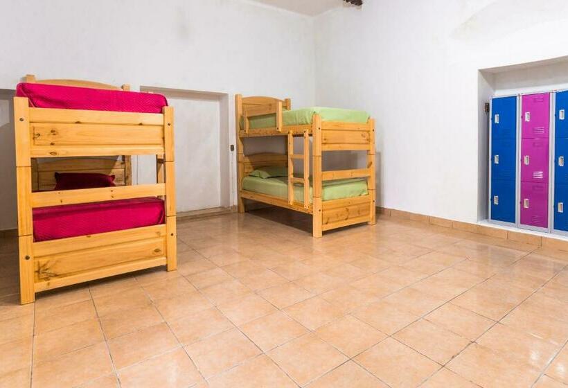 هاستل Dragonfly Guest House