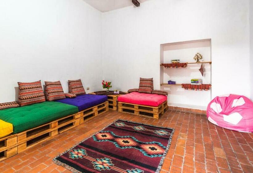 هاستل Dragonfly Guest House