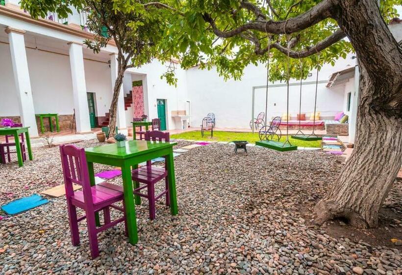 هاستل Dragonfly Guest House