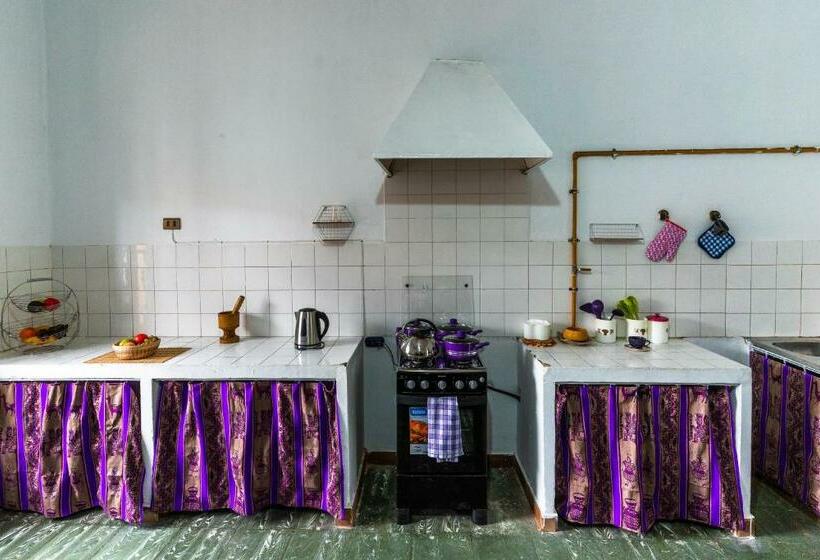 هاستل Dragonfly Guest House