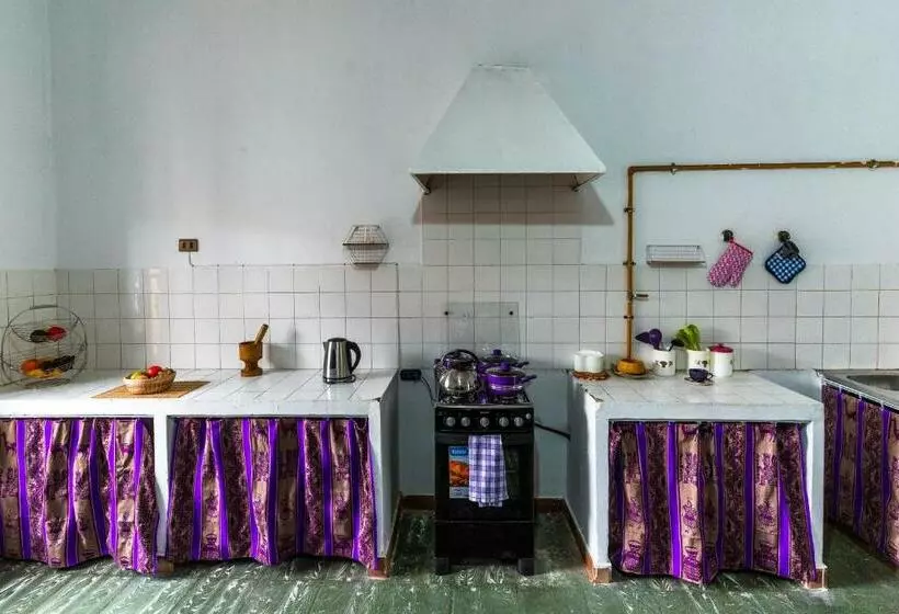 هاستل Dragonfly Guest House