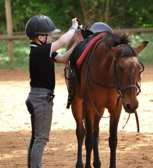 Hotelli Olive Farm @ Embassy International Riding School