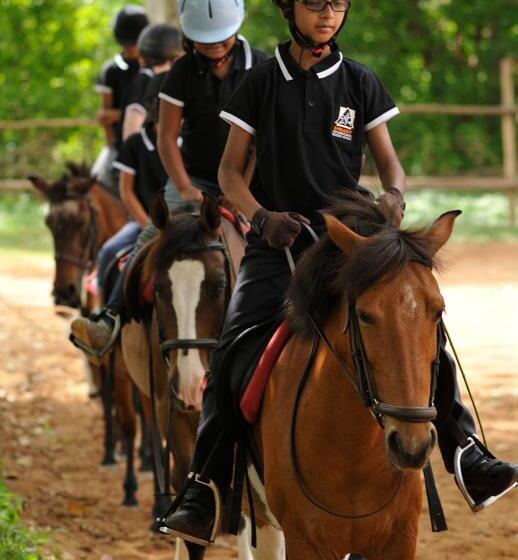 Отель Olive Farm @ Embassy International Riding School
