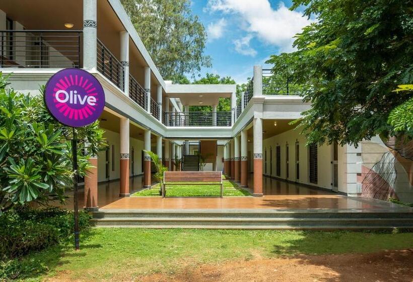 Отель Olive Farm @ Embassy International Riding School