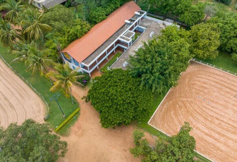 Отель Olive Farm @ Embassy International Riding School