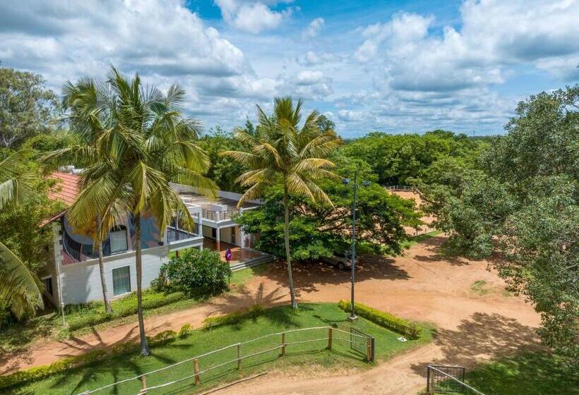 Отель Olive Farm @ Embassy International Riding School