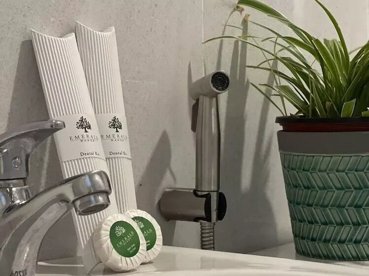 Hotelli Emerald Manor