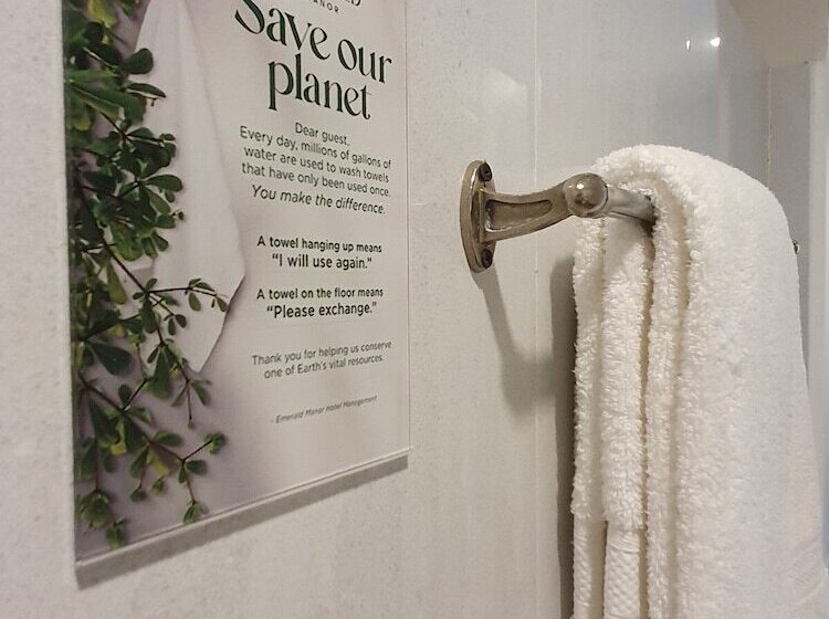 호텔 Emerald Manor