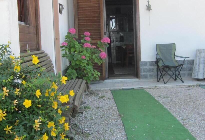 تختخواب و صبحانه Bed&breakfast Le Valli Del Cerrano