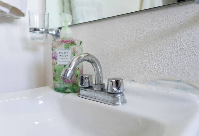 住宿加早餐  Suites Apodaca