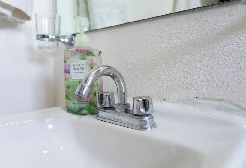 住宿加早餐  Suites Apodaca