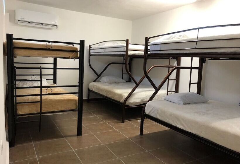 住宿加早餐  Suites Apodaca