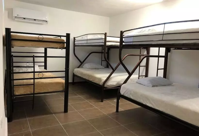 Aamiaismajoitus (B&B) Suites Apodaca