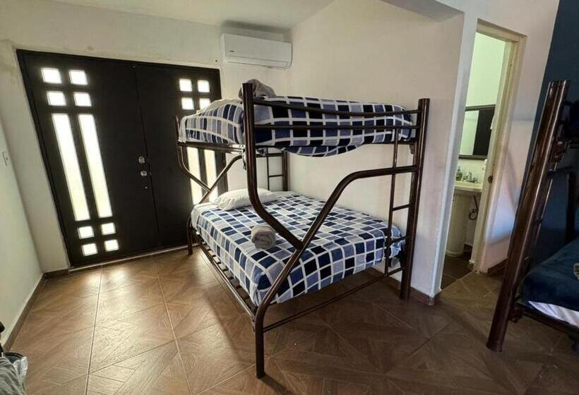 住宿加早餐  Suites Apodaca