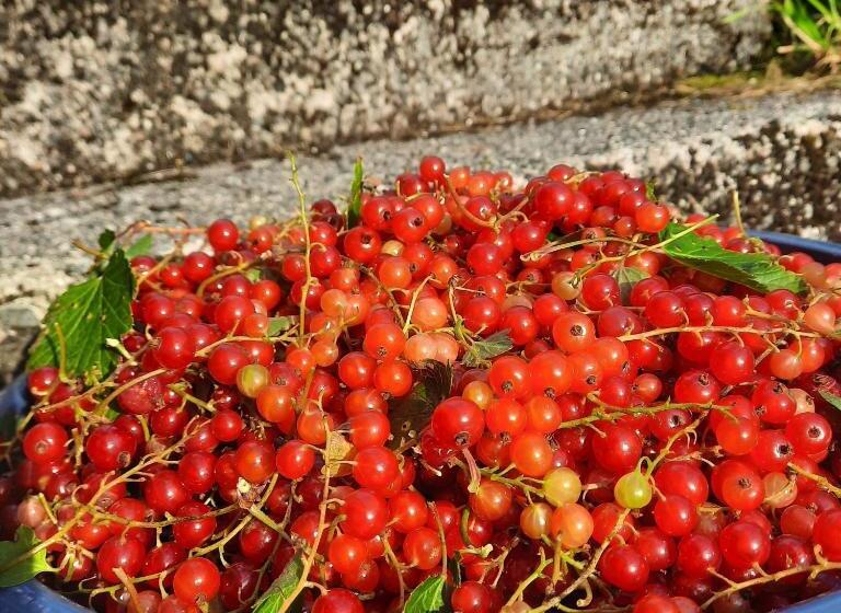 צימר Ulvesund Fyr