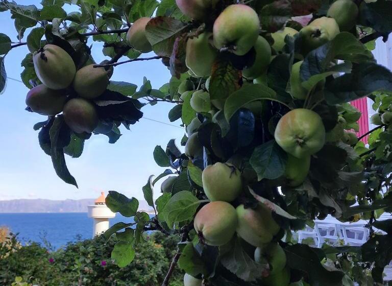 צימר Ulvesund Fyr