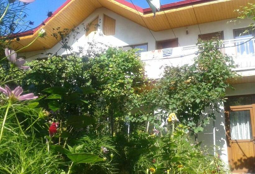 膳宿费 Casa Maria Costinesti