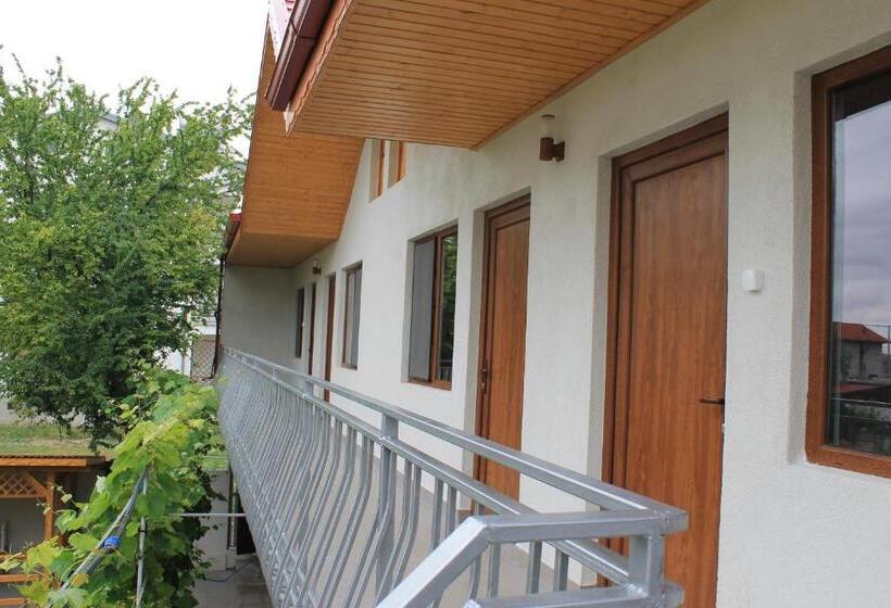 膳宿费 Casa Maria Costinesti