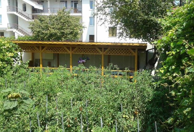 膳宿费 Casa Maria Costinesti