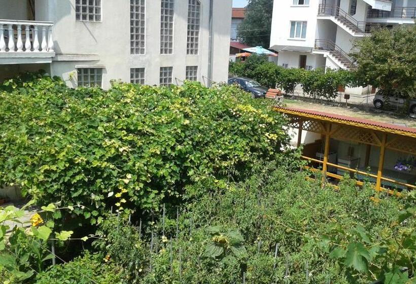 膳宿费 Casa Maria Costinesti