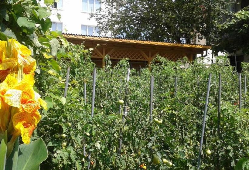 膳宿费 Casa Maria Costinesti