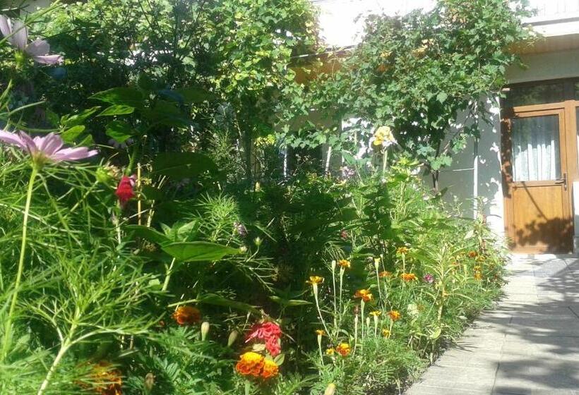 膳宿费 Casa Maria Costinesti