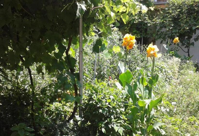 膳宿费 Casa Maria Costinesti