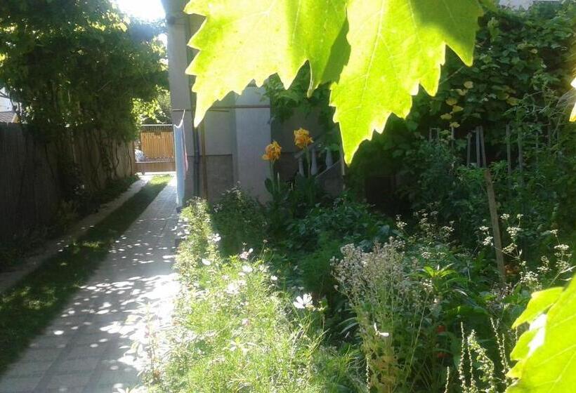 膳宿费 Casa Maria Costinesti