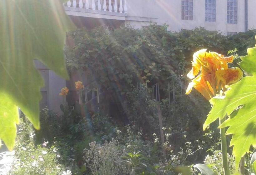 膳宿费 Casa Maria Costinesti