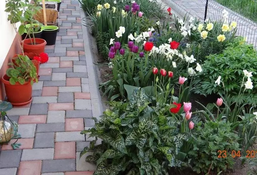 ペンション Maria Antonia