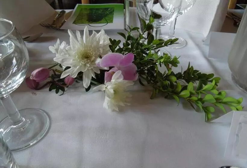 Hotelli Skjåk Turistheim