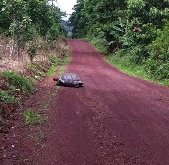 مبيت وإفطار Galapagos Chalet