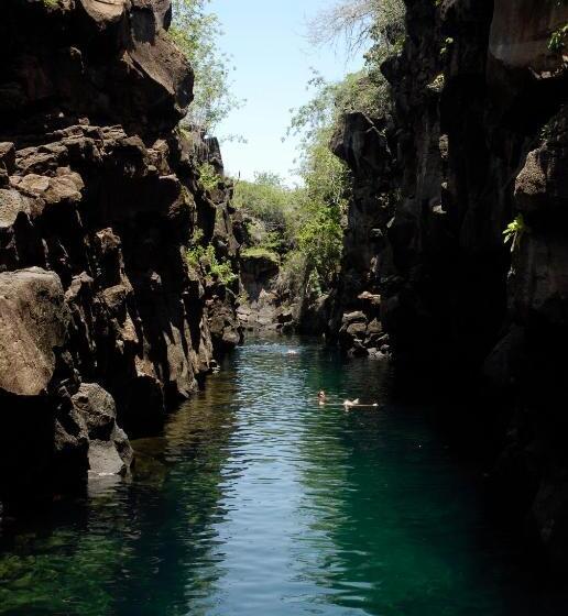 مبيت وإفطار Galapagos Chalet