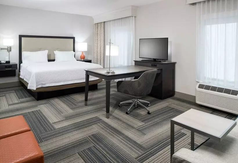ホテル Hampton Inn & Suites By Hilton Atlanta Perimeter Dunwoody