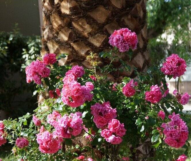 호텔 Résidence Les Castors