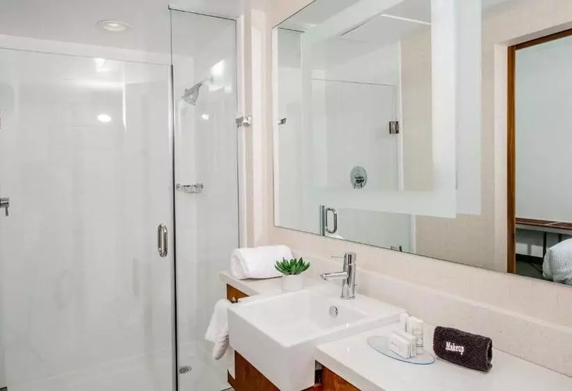 ホテル Springhill Suites By Marriott Charleston Mount Pleasant