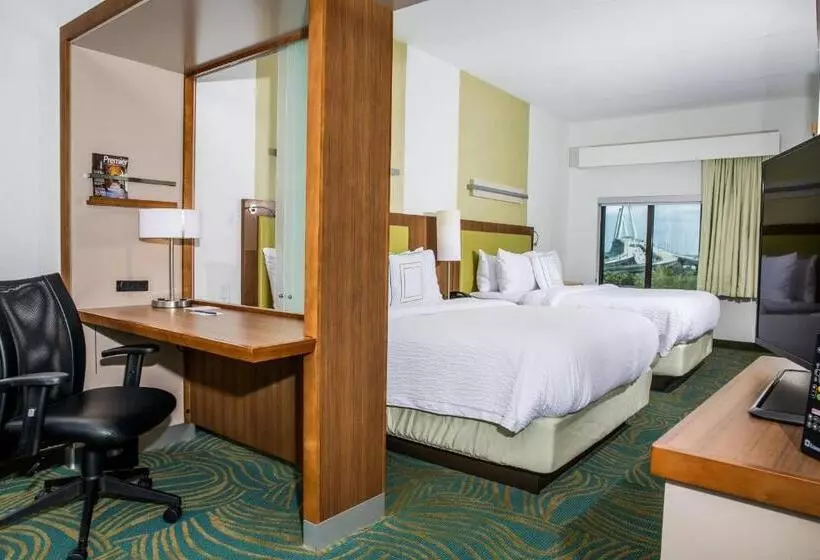 ホテル Springhill Suites By Marriott Charleston Mount Pleasant