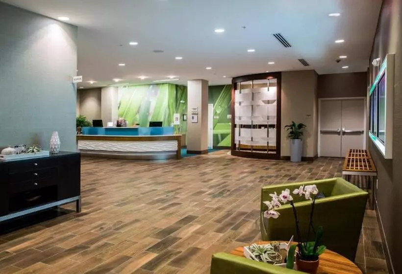 ホテル Springhill Suites By Marriott Charleston Mount Pleasant