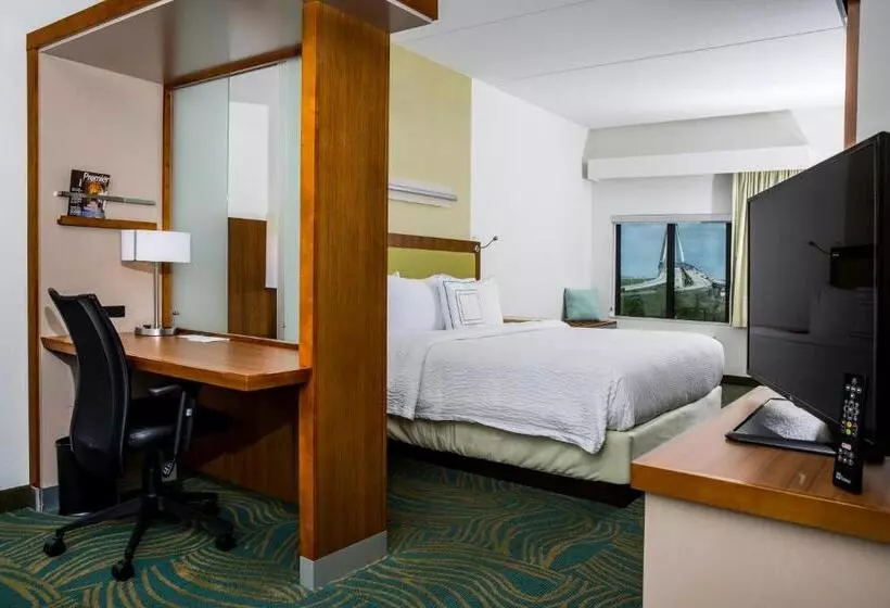 ホテル Springhill Suites By Marriott Charleston Mount Pleasant