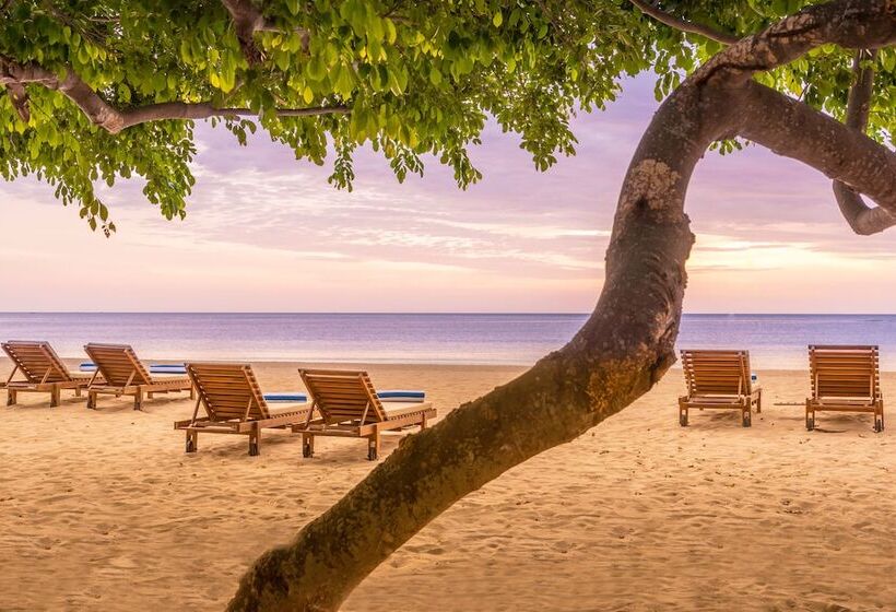 酒店 Sunrise Pasikuda